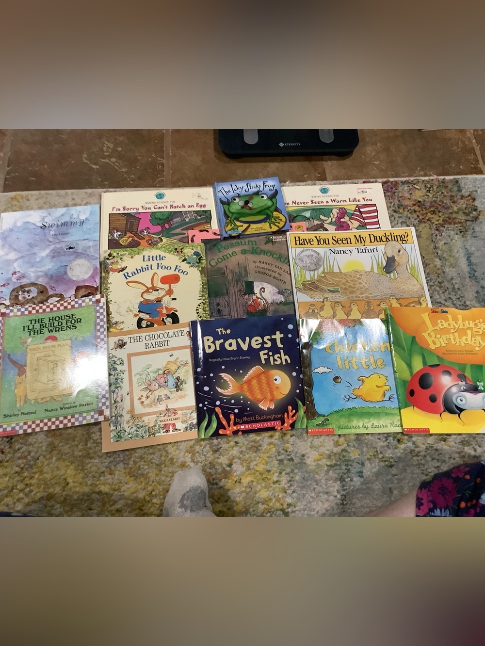 Scholastic Kids Picture Book Bundle